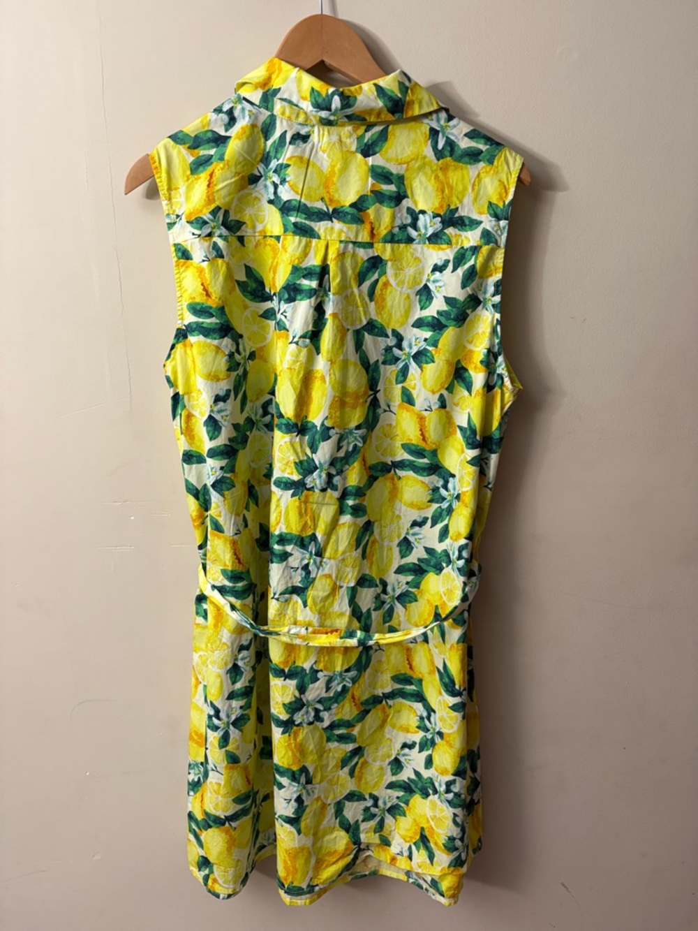 Chloe+Rene Lemon Print Sleeveless Cotton Dress Size 2X - Picture 3 of 8